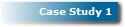 Case Study 1